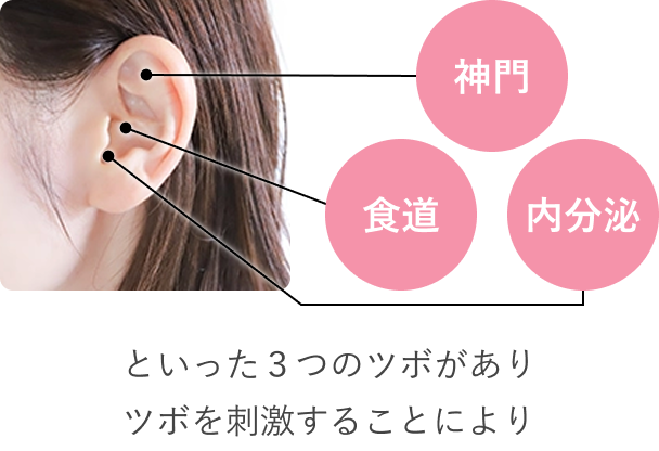 3つのつぼ